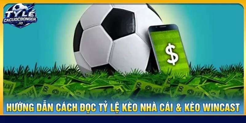 Hướng dẫn cách đọc Tỷ lệ kèo nhà cái & kèo wincast