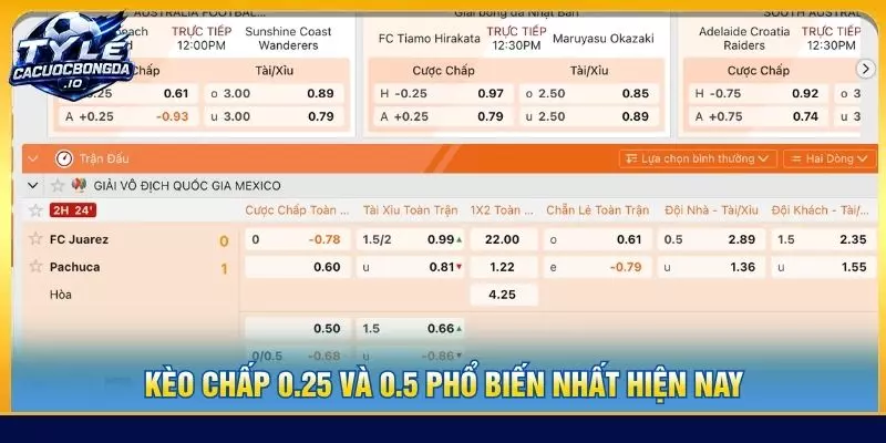 Kèo chấp 0.25 và 0.5 phổ biến nhất hiện nay