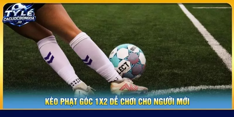 Kèo phạt góc 1x2 dễ chơi cho người mới