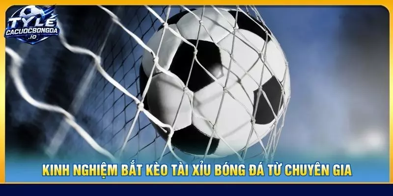 Kinh nghiệm bắt kèo tài xỉu bóng đá từ chuyên gia