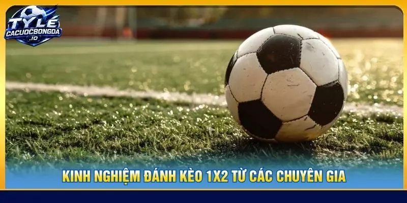 Kinh nghiệm đánh kèo 1x2 từ các chuyên gia