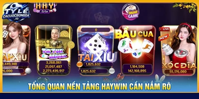 Tổng quan nền tảng Haywin cần nắm rõ