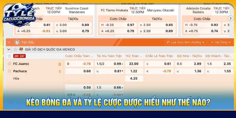 Bản chất của tỷ lệ cược trong kèo bóng đá