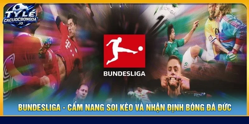 Bundesliga - Cẩm Nang Soi Kèo Và Nhận Định Bóng Đá Đức