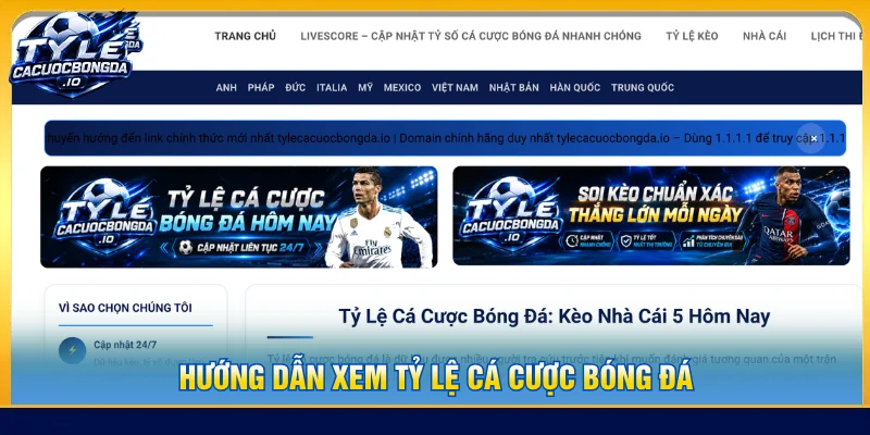 hướng dẫn xem tỷ lệ cá cược bóng đá nhà cái
