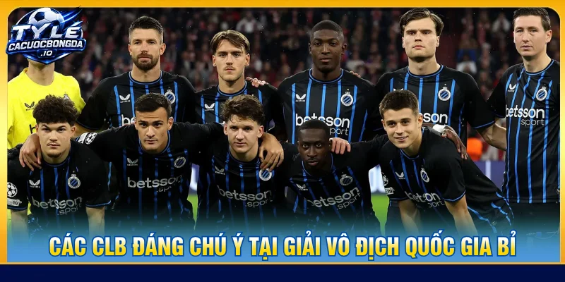 Các câu lạc bộ tranh giải vô địch quốc gia Bỉ