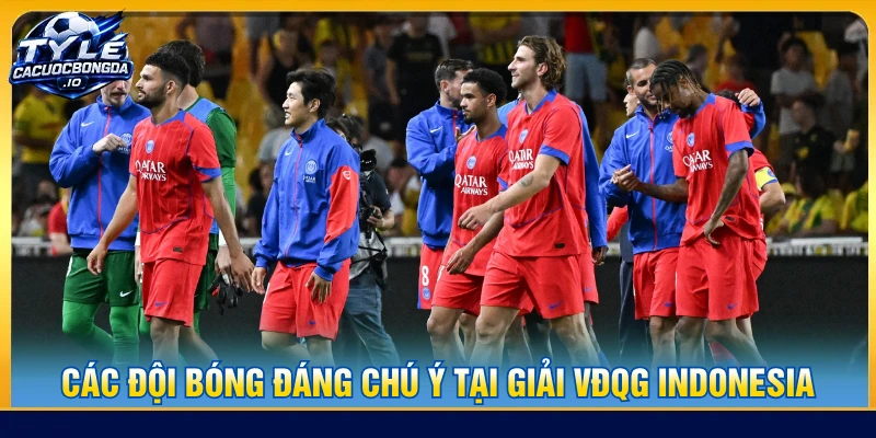Các đội bóng tại giải VĐQG Indonesia có sự khác biệt về nhiều yếu tố