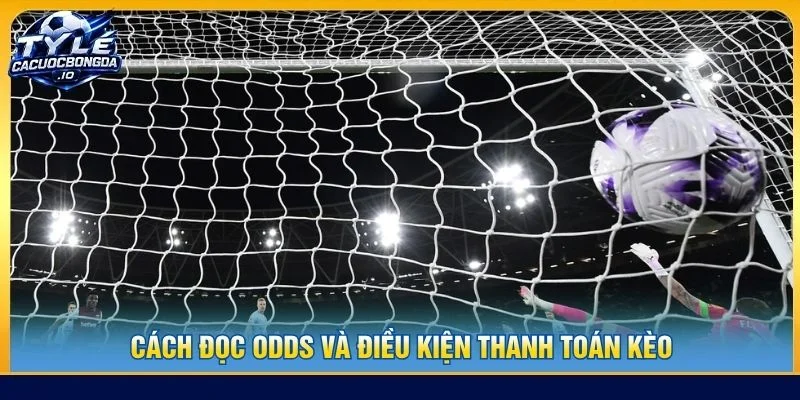 Cách đọc odds và điều kiện thanh toán kèo