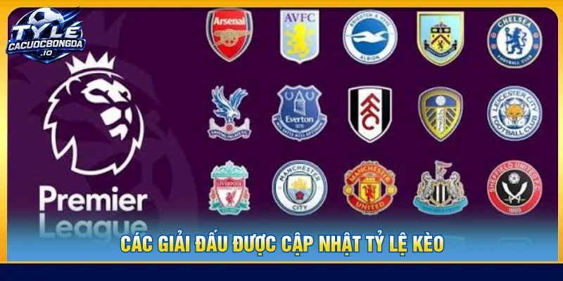 Cập nhật các giải đấu lớn và nhỏ