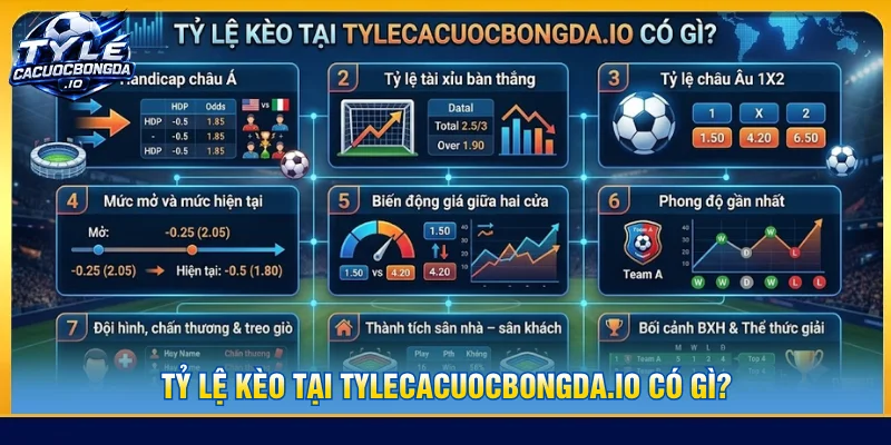 Cập nhật tỷ lệ kèo chính xác tại tylecacuocbongda