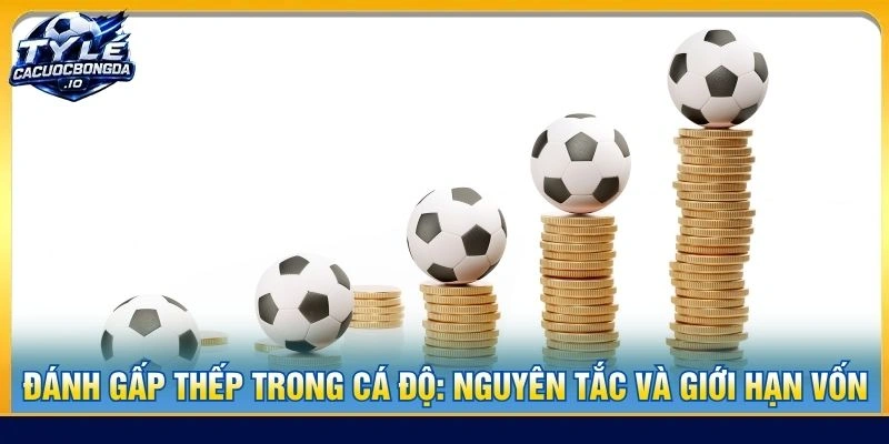 Đánh Gấp Thếp Trong Cá Độ: Nguyên Tắc Và Giới Hạn Vốn