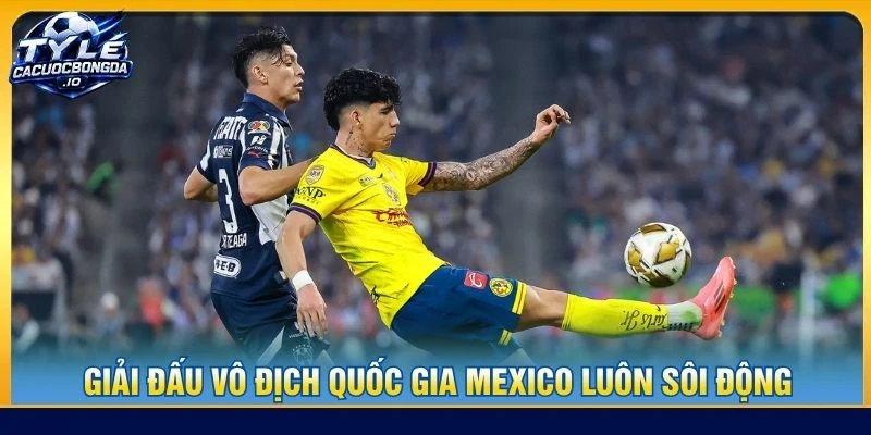 Giải đấu vô địch quốc gia Mexico luôn sôi động