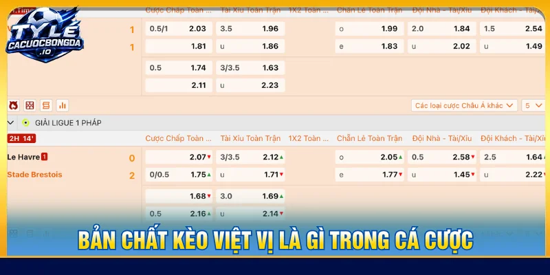 Giải thích ý nghĩa kèo việt vị là gì