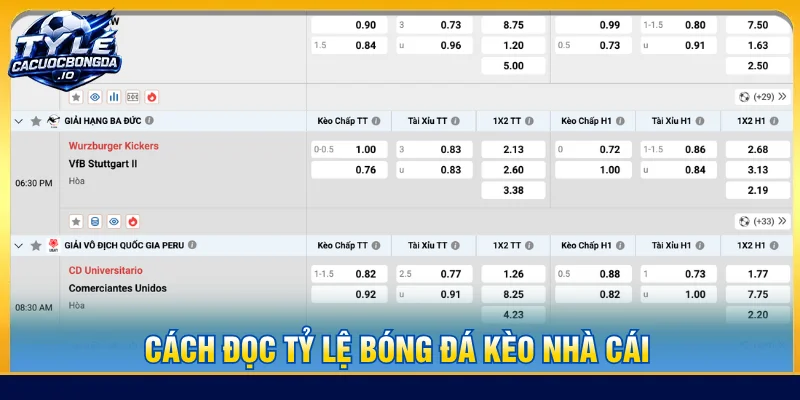 Hướng dẫn người chơi cách đọc tỷ lệ kèo cá cược đơn giản