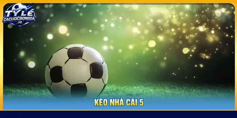 Kèo Nhà Cái 5: Cách Đọc Tỷ Lệ Và Phân Tích Biến Động