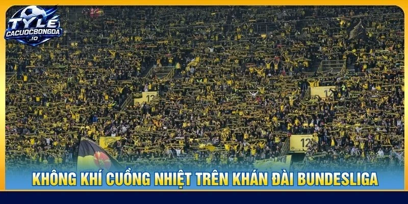 Không khí cuồng nhiệt trên khán đài Bundesliga