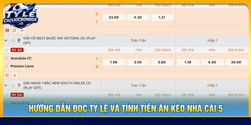 hướng dẫn cách đọc tỷ lệ nhà cái online