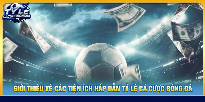 Người chơi tra cứu dữ liệu về trận đấu để dễ dàng đặt cược