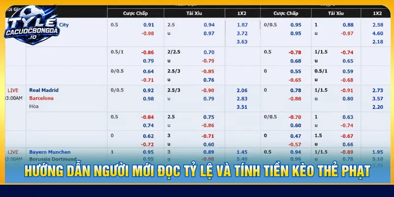 Người mới nắm rõ cách đọc và tính điểm để cược dễ dàng