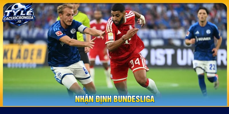 Những bài tin tức đưa tin về Bundesliga