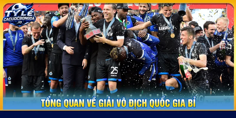 Những điều cần biết về giải vô địch quốc gia Bỉ