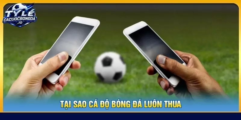 tại sao cá độ bóng đá luôn thua