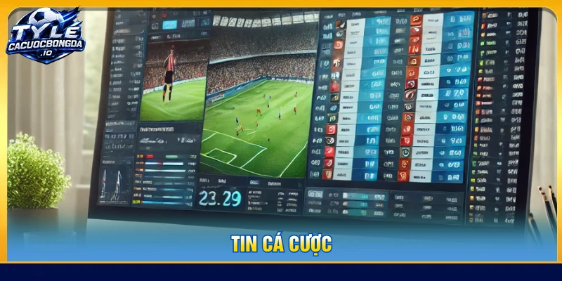 Tin cá cược