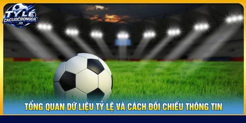 Tổng quan dữ liệu tỷ lệ và cách đối chiếu thông tin