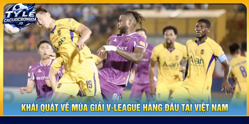 V-League là sân chơi bóng đá chuyên nghiệp nhất Việt Nam