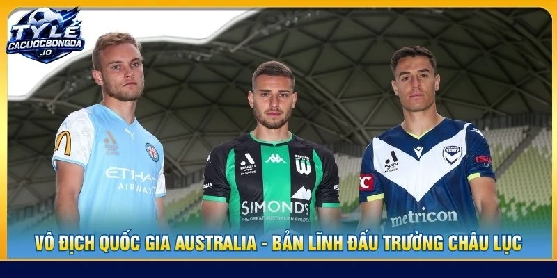 Vô Địch Quốc Gia Australia - Bản Lĩnh Đấu Trường Châu Lục