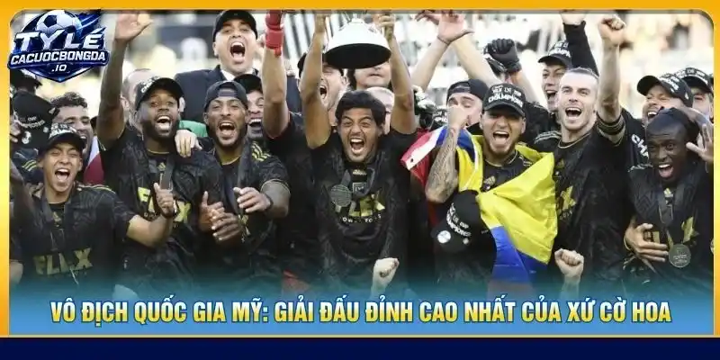 Vô Địch Quốc Gia Mỹ: Giải Đấu Đỉnh Cao Nhất Của Xứ Cờ Hoa